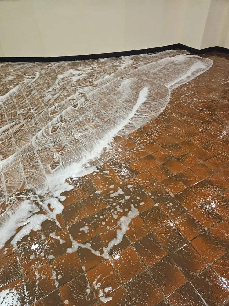 Affordable lawn care service in San Jose, CA - Mint Organic Cleaning & Company