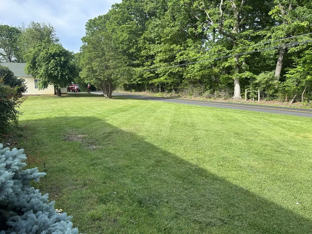 Expert yard cleanup service with custom design in Stuarts Draft, VA by Mint Outdoor services