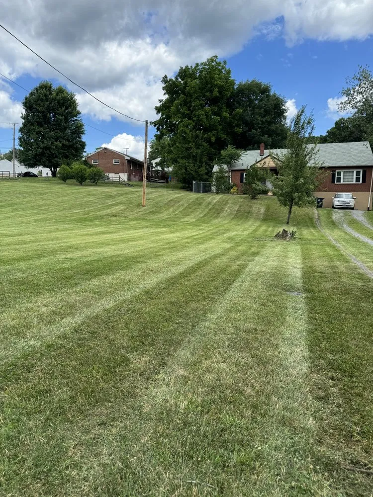 Custom yard maintenance for beautiful yards in Goodview, VA by Minton Land Solutions
