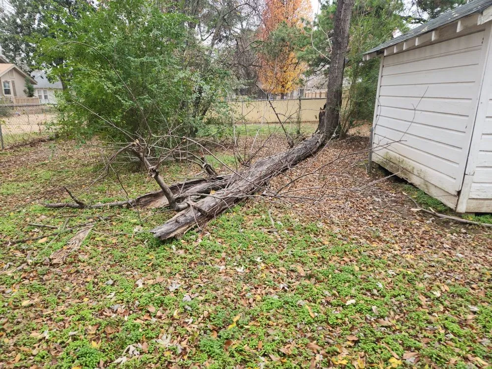 Local lawn care service experts serving Fort Smith, AR - Minute-Man Lawn Care
