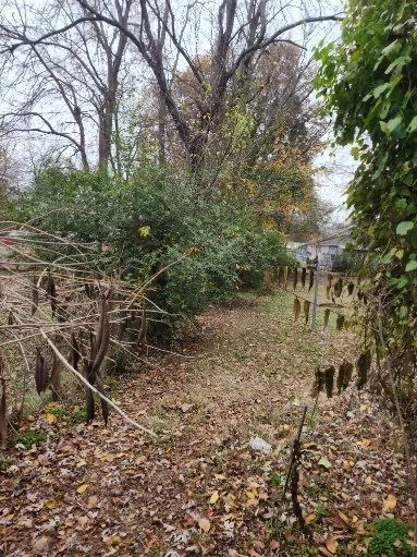 Professional residential landscaping for homes in Fort Smith, AR by Minute-Man Lawn Care