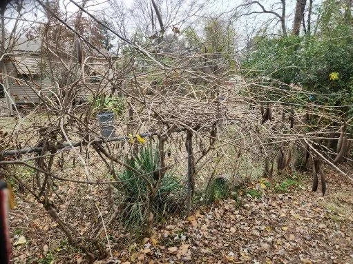 Professional yard cleanup service with custom design in Fort Smith, AR by Minute-Man Lawn Care