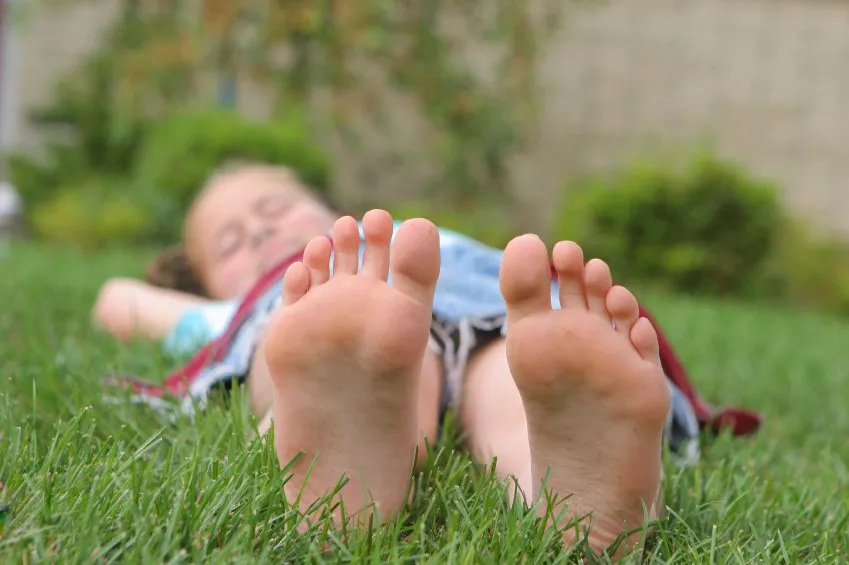 Top-rated residential landscaping experts serving Concord, MA - Minuteman Landscaping