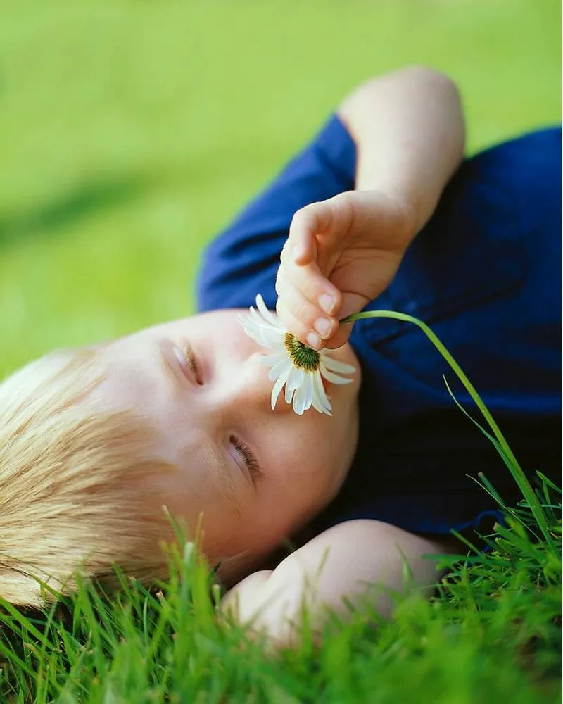 Reliable outdoor landscaping in Concord, MA by Minuteman Landscaping