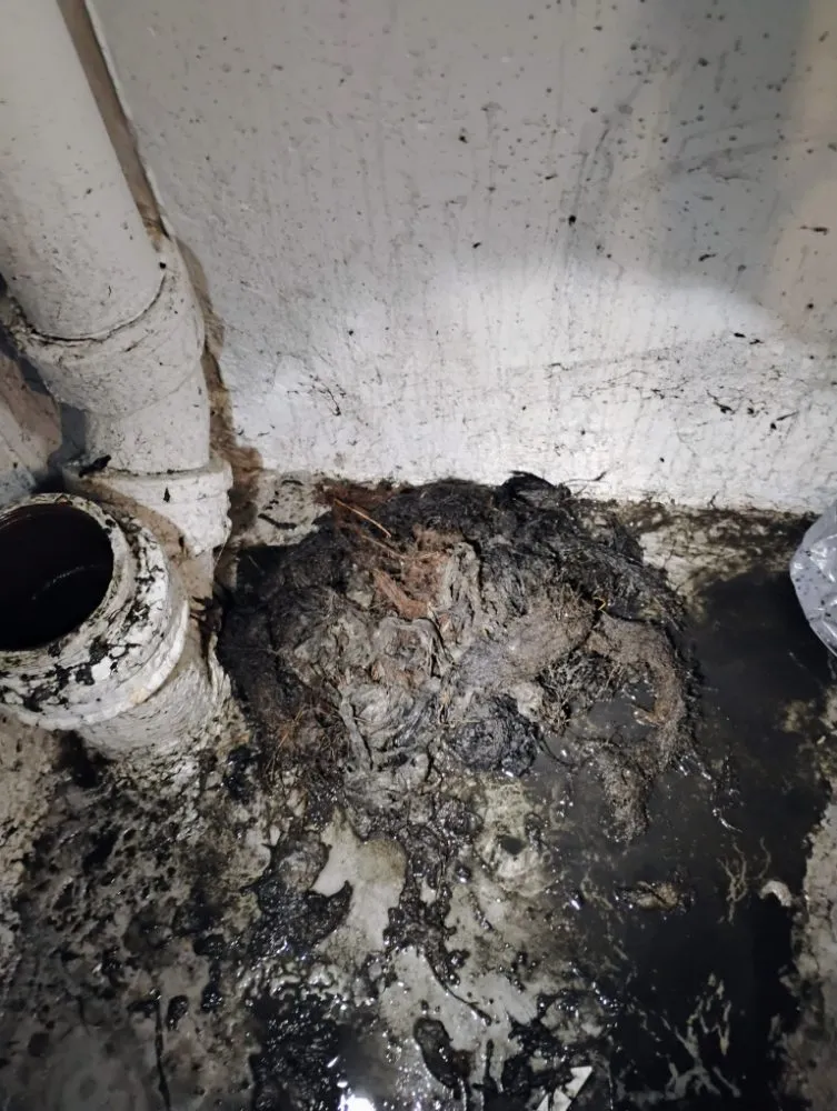 Affordable lawn mowing service experts serving Taunton, MA - Minutemen Home Services