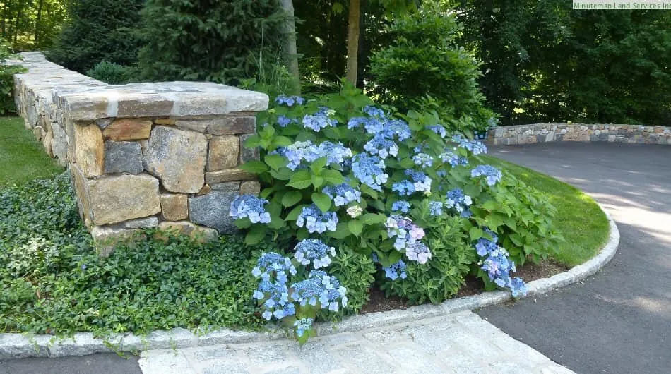 Top-rated landscaping services for outdoor upgrades across Norwalk, CT - Minutemen Land Services