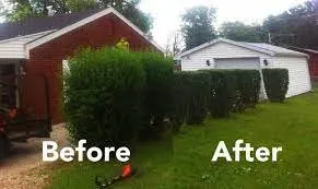 Expert garden landscaping for year-round maintenance across Lady Lake, FL - MIO Lawn Care