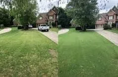 Reliable yard cleanup service in Lady Lake, FL - MIO Lawn Care