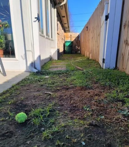 Custom outdoor landscaping experts serving Metairie, LA - Mipro Lawn and Landscaping