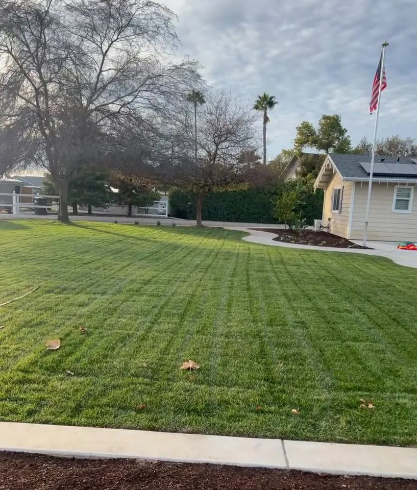 Expert landscape design experts serving Madera, CA - Miqueas Garden Service