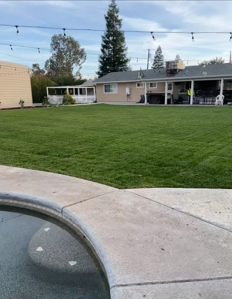 Affordable residential landscaping experts serving Madera, CA - Miqueas Garden Service