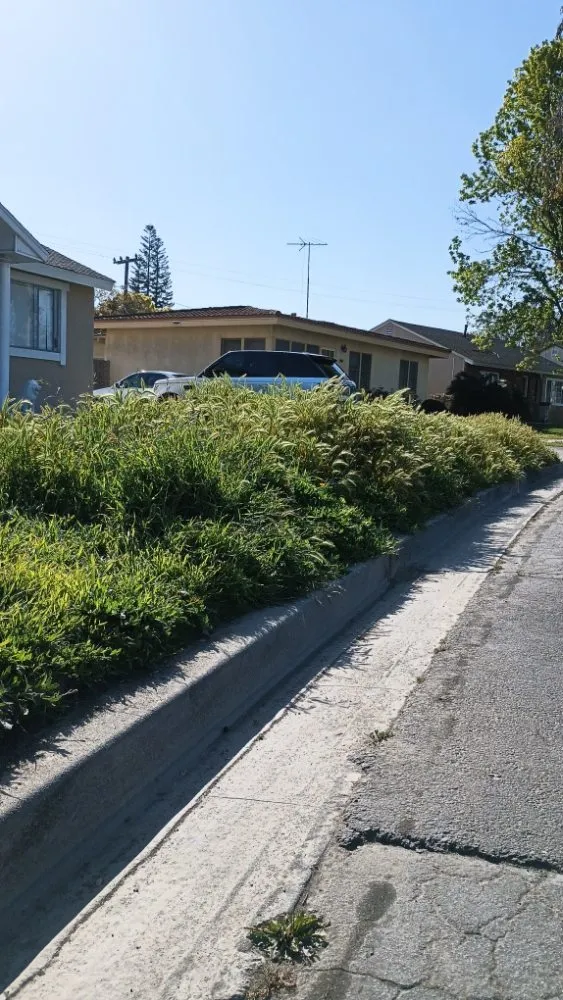 Expert outdoor landscaping in Huntington Beach, CA - Mira Loma Landscape Services