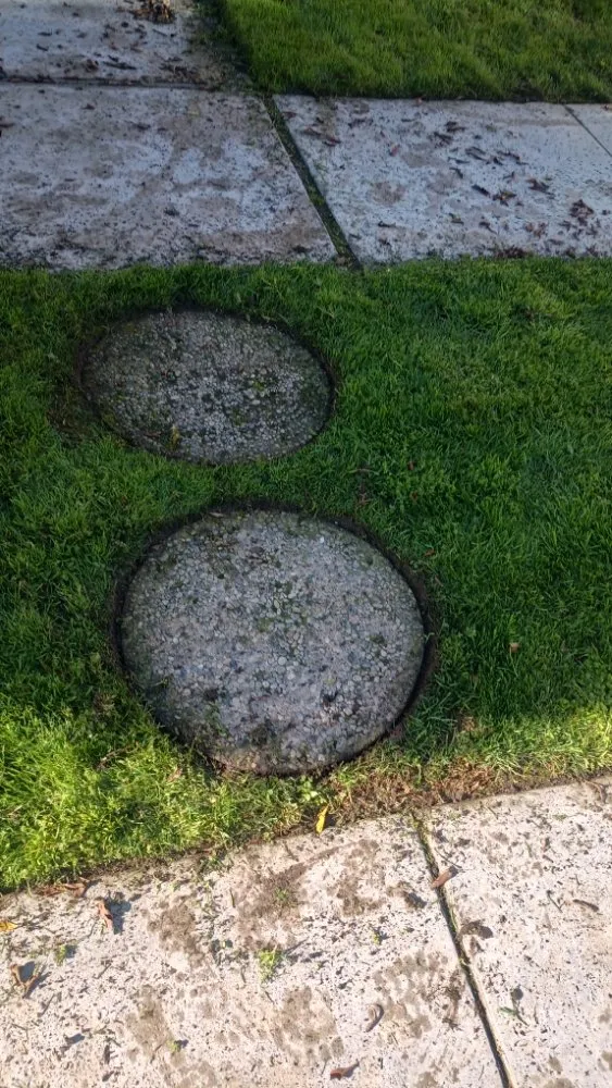 Reliable lawn care service experts serving Huntington Beach, CA - Mira Loma Landscape Services