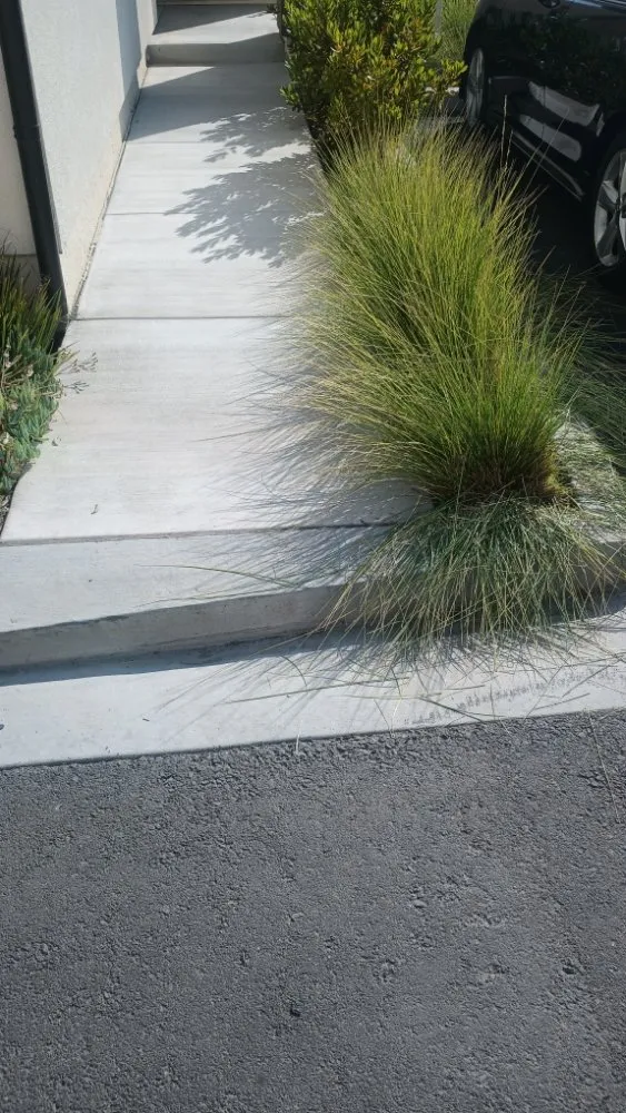 Professional garden landscaping for residential properties in Huntington Beach, CA by Mira Loma Landscape Services