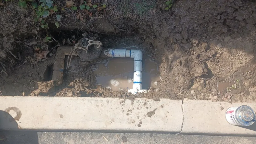 Trusted landscaping services in Huntington Beach, CA - Mira Loma Landscape Services