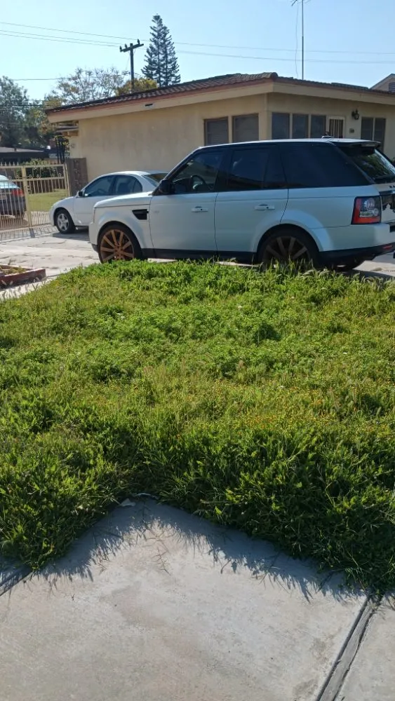 Professional outdoor landscaping in Huntington Beach, CA by Mira Loma Landscape Services