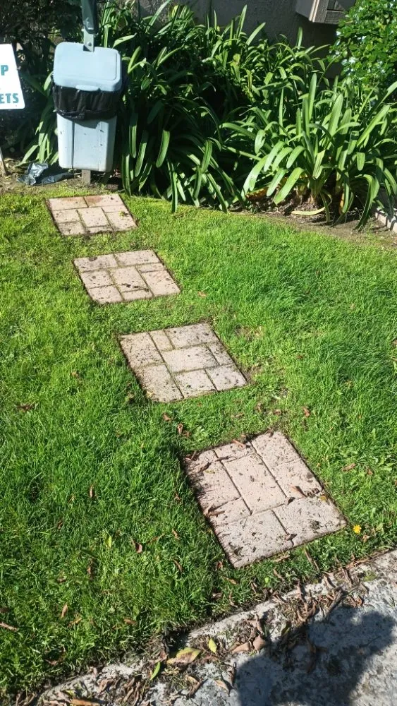 Professional garden landscaping with custom design in Huntington Beach, CA by Mira Loma Landscape Services