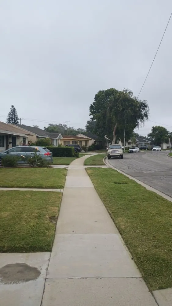 Custom garden landscaping for year-round maintenance in Huntington Beach, CA by Mira Loma Landscape Services