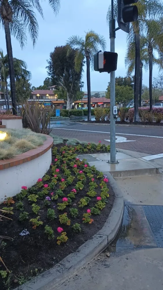 Professional garden landscaping near you across Huntington Beach, CA - Mira Loma Landscape Services