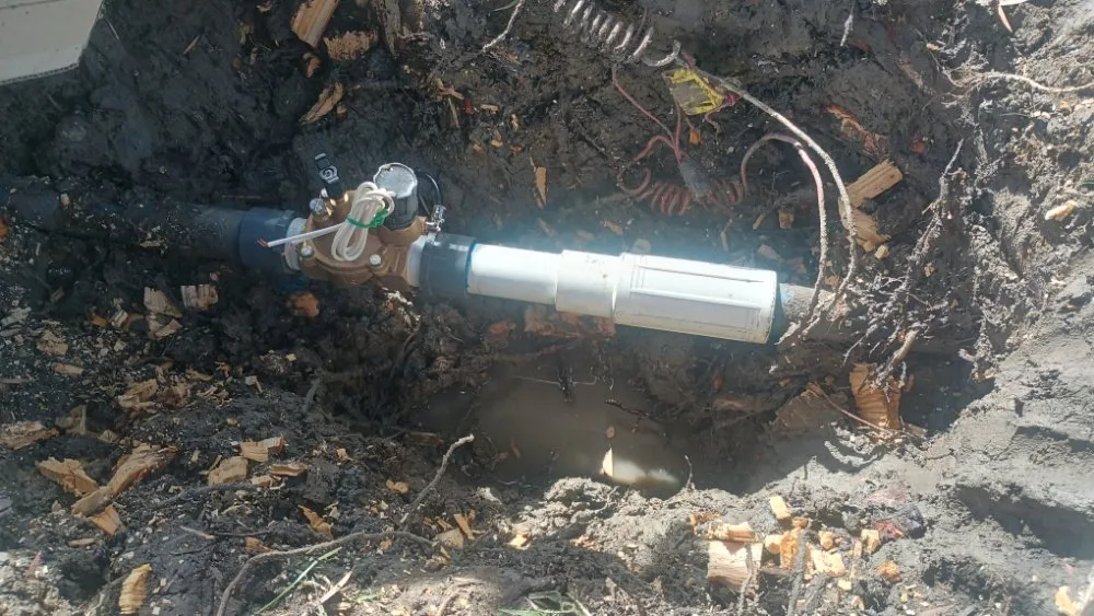 Trusted lawn mowing service in Huntington Beach, CA - Mira Loma Landscape Services