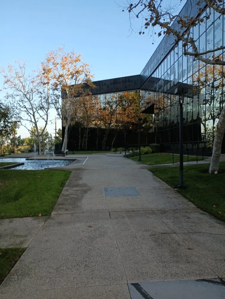 Reliable landscaping services in Huntington Beach, CA by Mira Loma Landscape Services