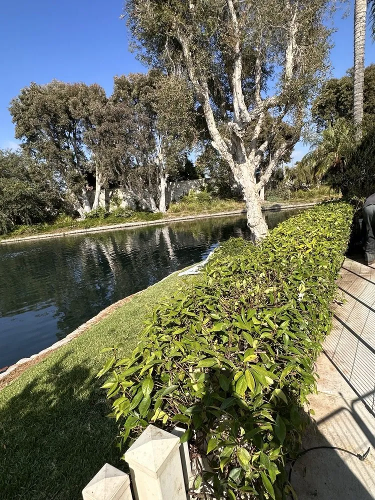 Top-rated landscape installation experts serving Huntington Beach, CA - Mira Loma Landscape Services