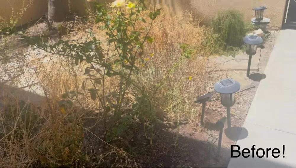 Professional landscape design for residential properties across Huntington Beach, CA - Mira Loma Landscape Services