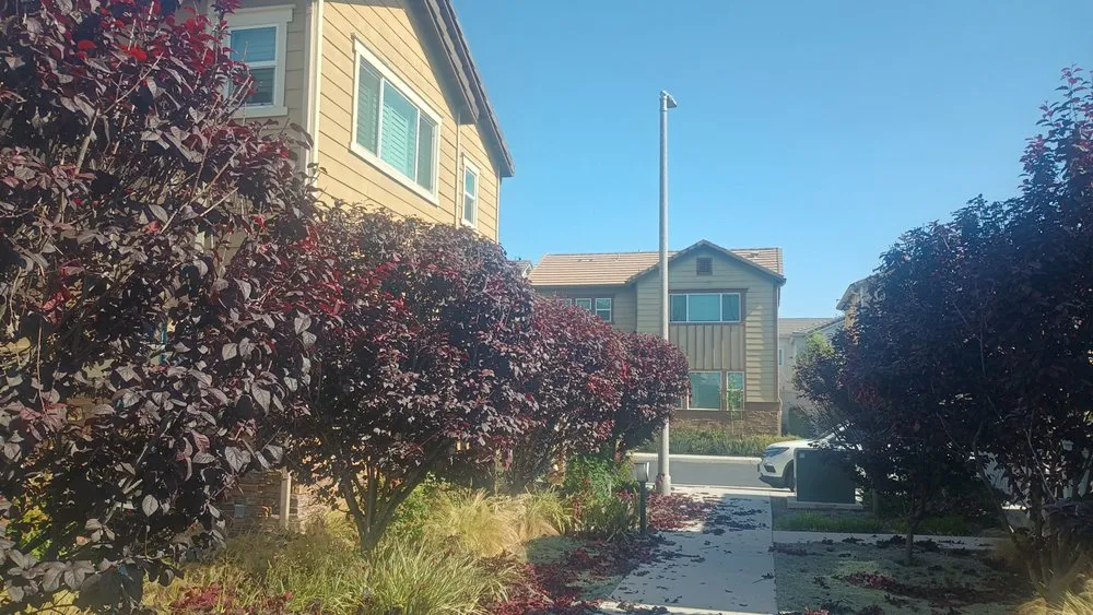 Reliable residential landscaping experts serving Huntington Beach, CA - Mira Loma Landscape Services