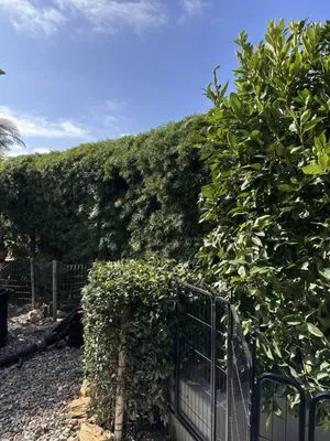 Mira Loma Landscape Services