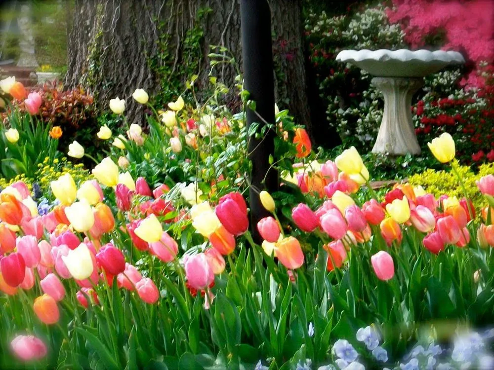 Custom landscape design for year-round maintenance in Saddle Brook, NJ by Mirabella Landscape & Construction