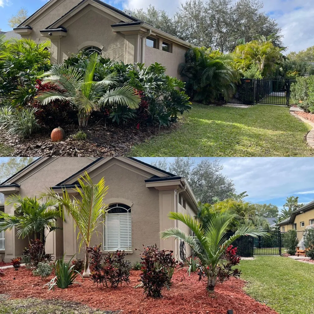 Trusted landscaping services in Palm Harbor, FL - Mirabellis Lighting & Landscaping