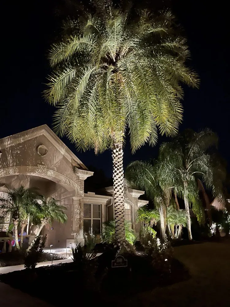 Expert residential landscaping for beautiful yards in Palm Harbor, FL by Mirabellis Lighting & Landscaping