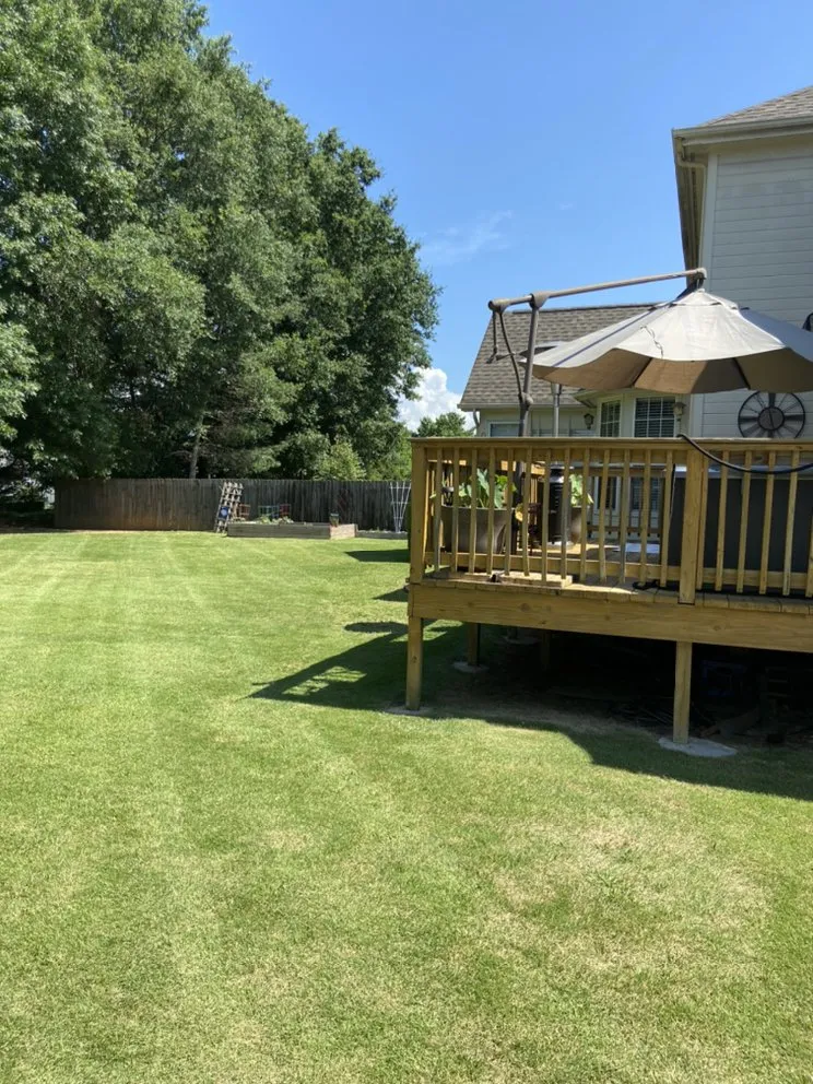 Expert landscape installation in Chattanooga, TN by Miracle Green Lawn