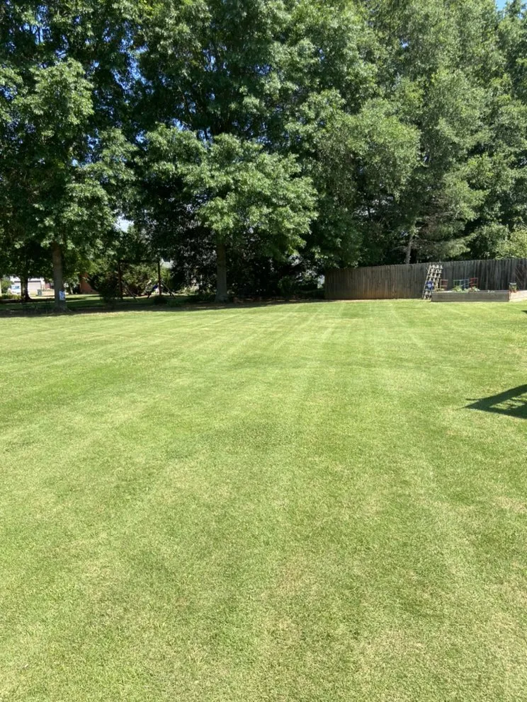 Custom yard cleanup service for residential properties in Chattanooga, TN by Miracle Green Lawn