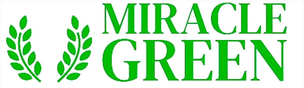Expert landscaping services in Vero Beach, FL - Miracle Green
