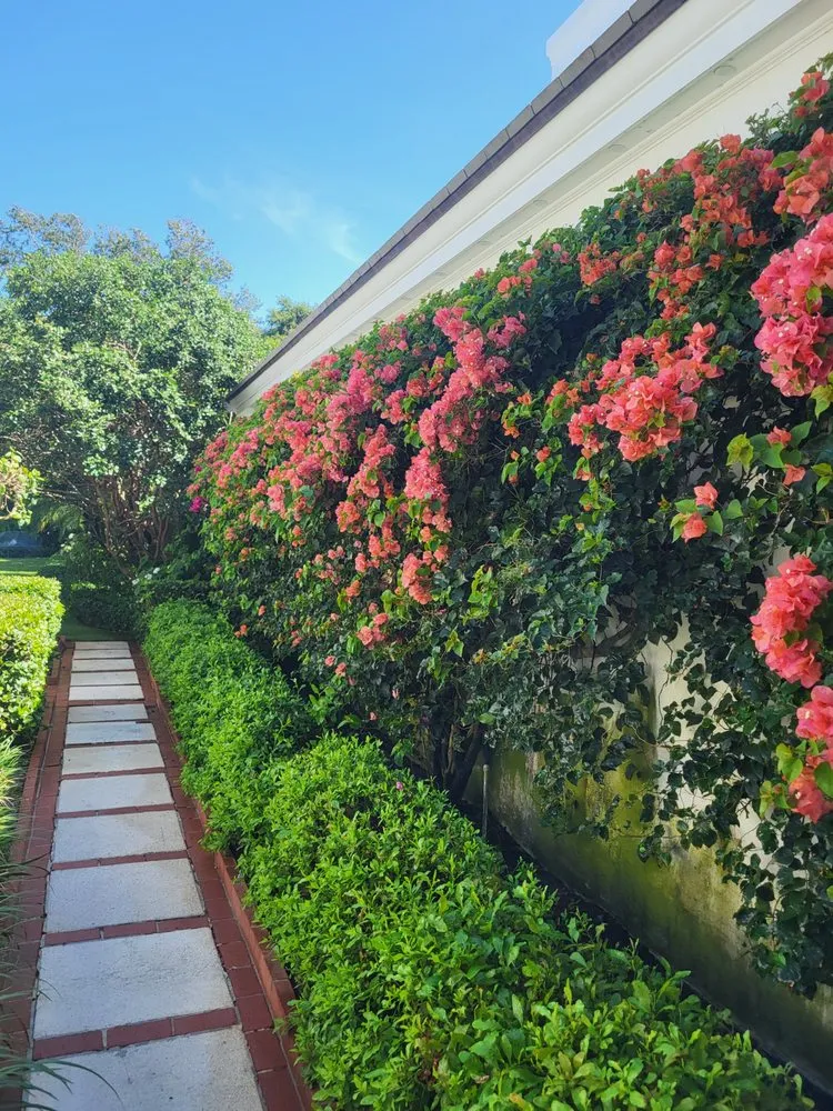 Professional landscaping services for beautiful yards across Vero Beach, FL - Miracle Green