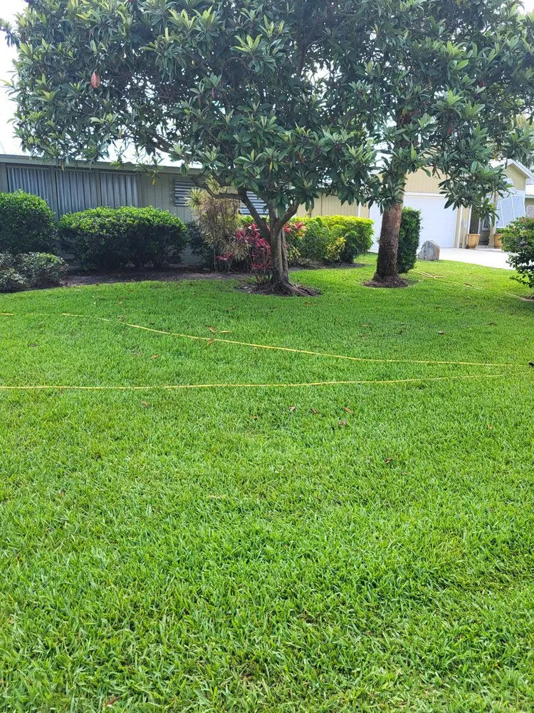 Affordable lawn care service in Vero Beach, FL by Miracle Green