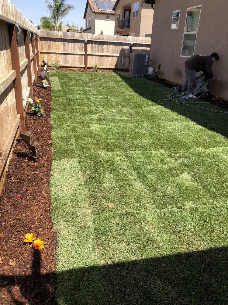 Local yard cleanup service in Madera, CA - Miracle Grow Landscape