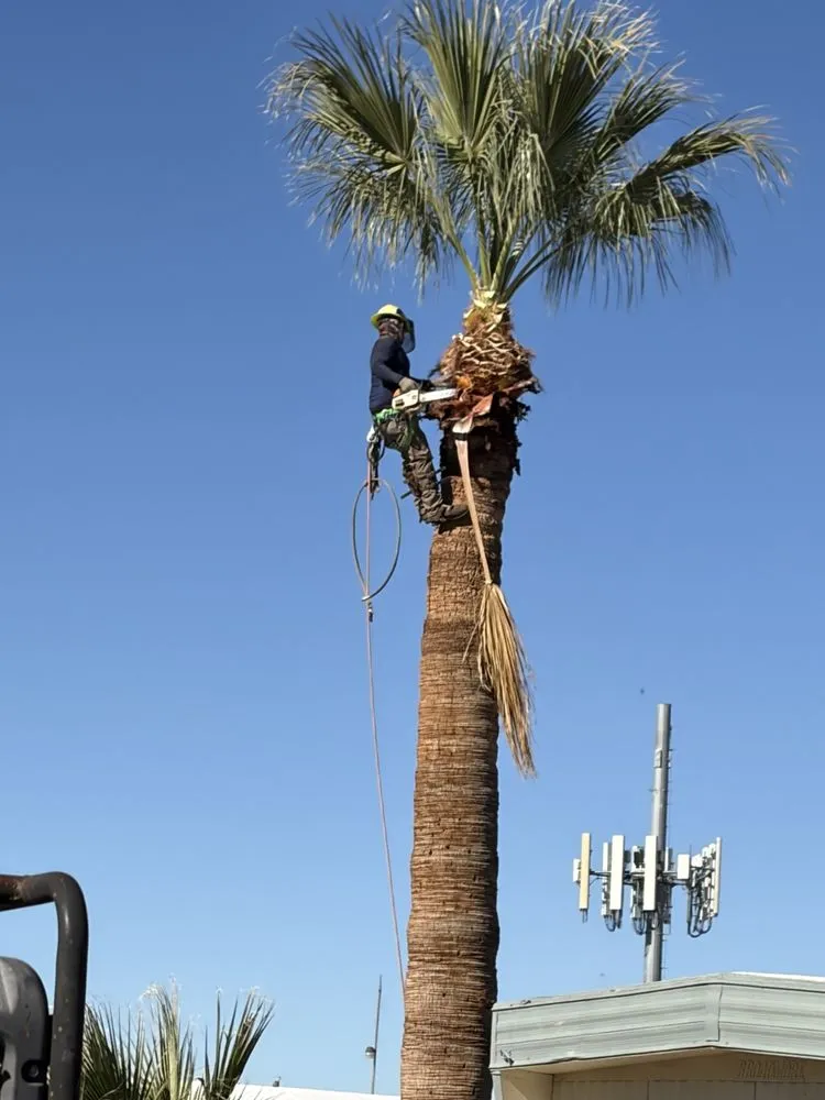 Custom residential landscaping experts serving Tucson, AZ - Miracle Hands Landscaping