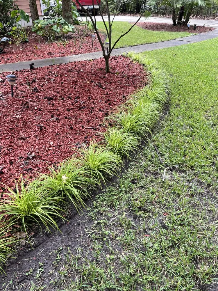 Top-rated yard cleanup service in Beaufort, SC by Miracle Landscape