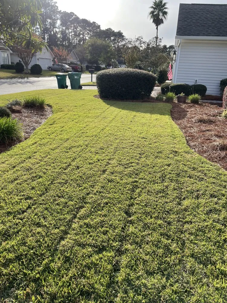 Trusted landscaping services in Beaufort, SC - Miracle Landscape