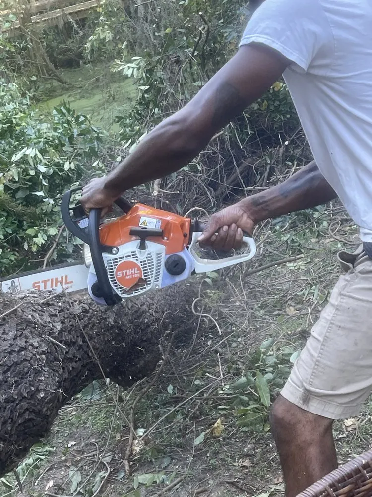 Affordable yard maintenance for beautiful yards in Beaufort, SC by Miracle Landscape