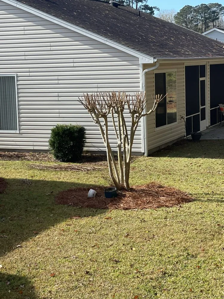 Professional lawn care service experts serving Beaufort, SC - Miracle Landscape
