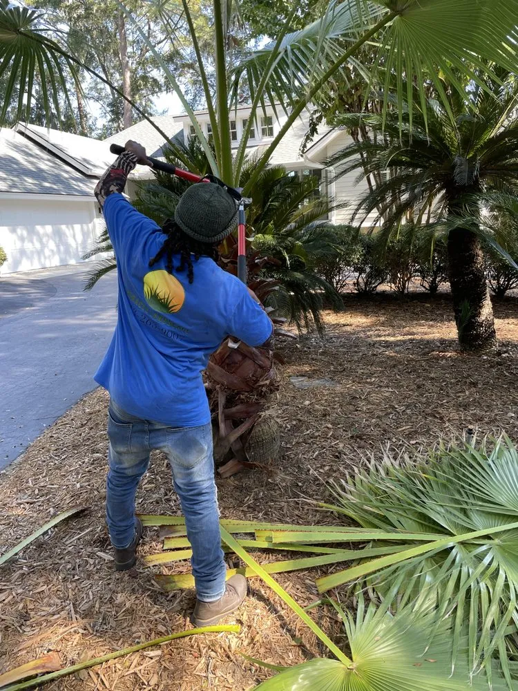 Affordable residential landscaping near you in Beaufort, SC by Miracle Landscape