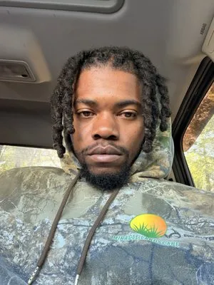 Miracle Landscape Logo