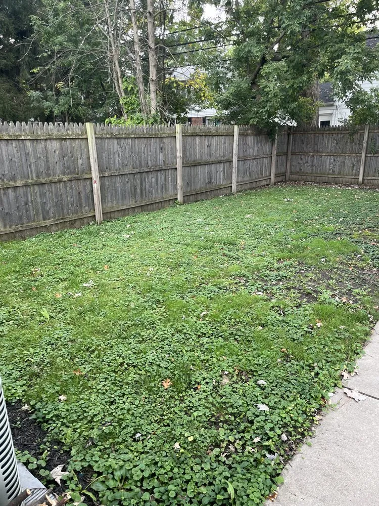 Professional residential landscaping near you in St. Clair Shores, MI by Miracle Landscaping