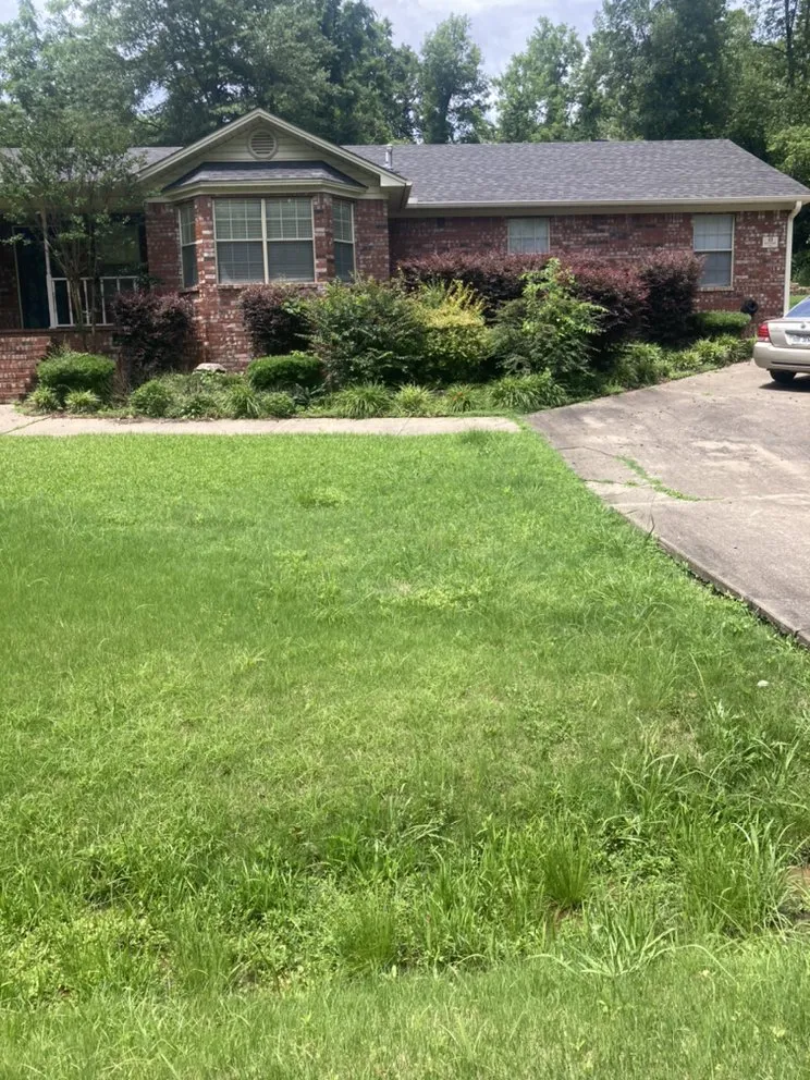 Local lawn care service for year-round maintenance in Conway, AR by Miracle Lawns & Landscaping
