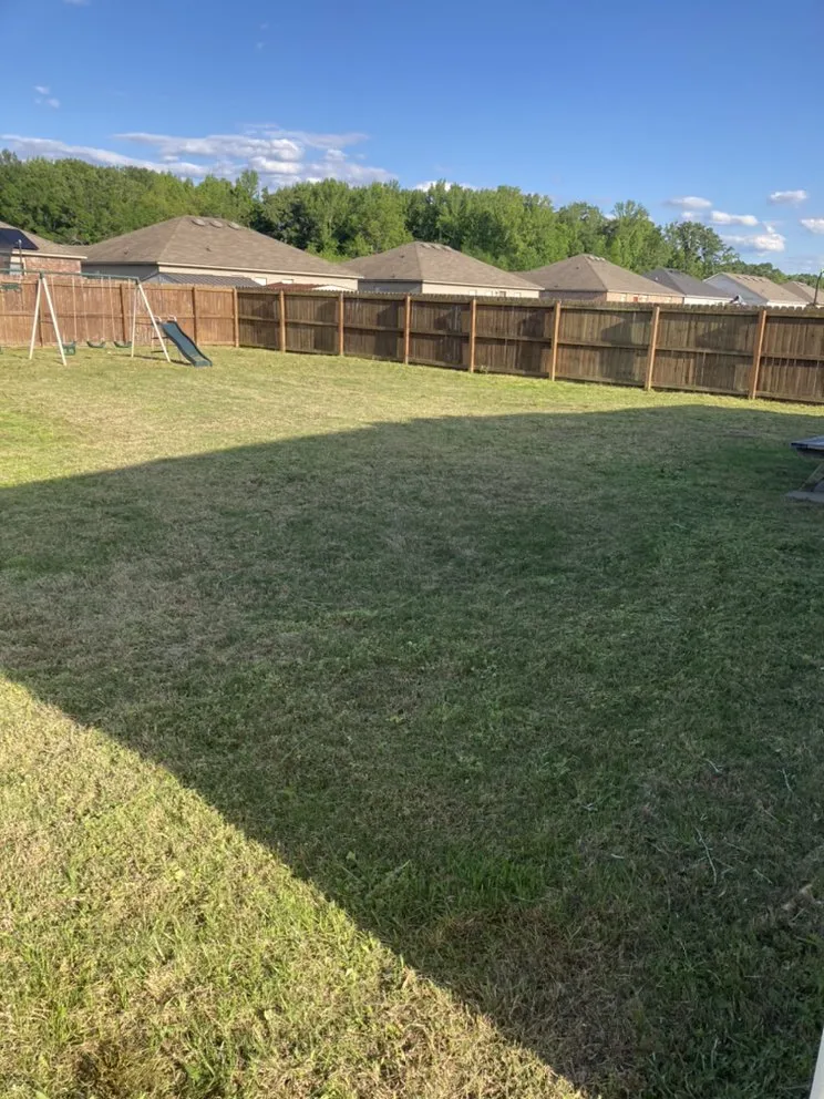 Professional yard cleanup service for beautiful yards across Conway, AR - Miracle Lawns & Landscaping