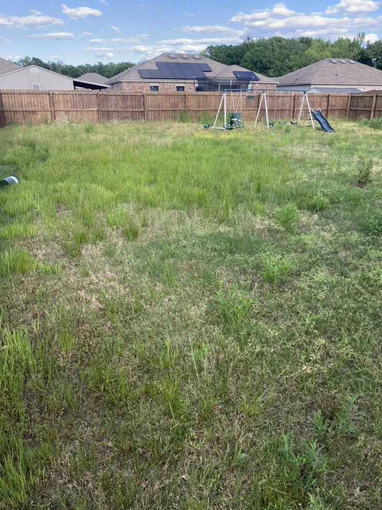 Top-rated yard cleanup service for year-round maintenance in Conway, AR by Miracle Lawns & Landscaping