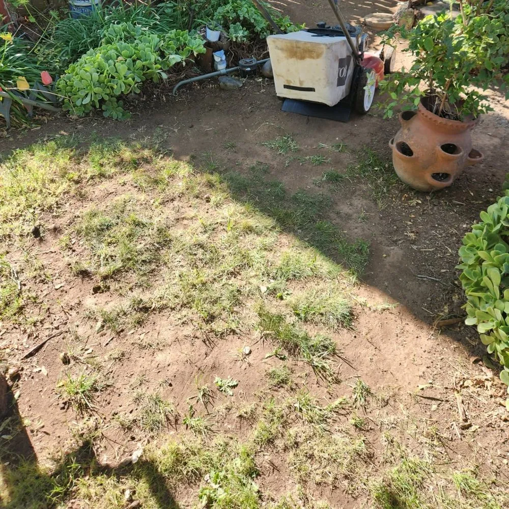 Professional outdoor landscaping in Sacramento, CA by Miracle lawns service